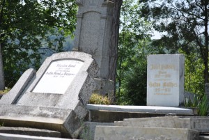 Grab Joseph Haltrich