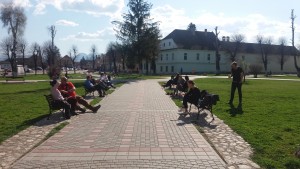 Sonnenpause in Tartlau